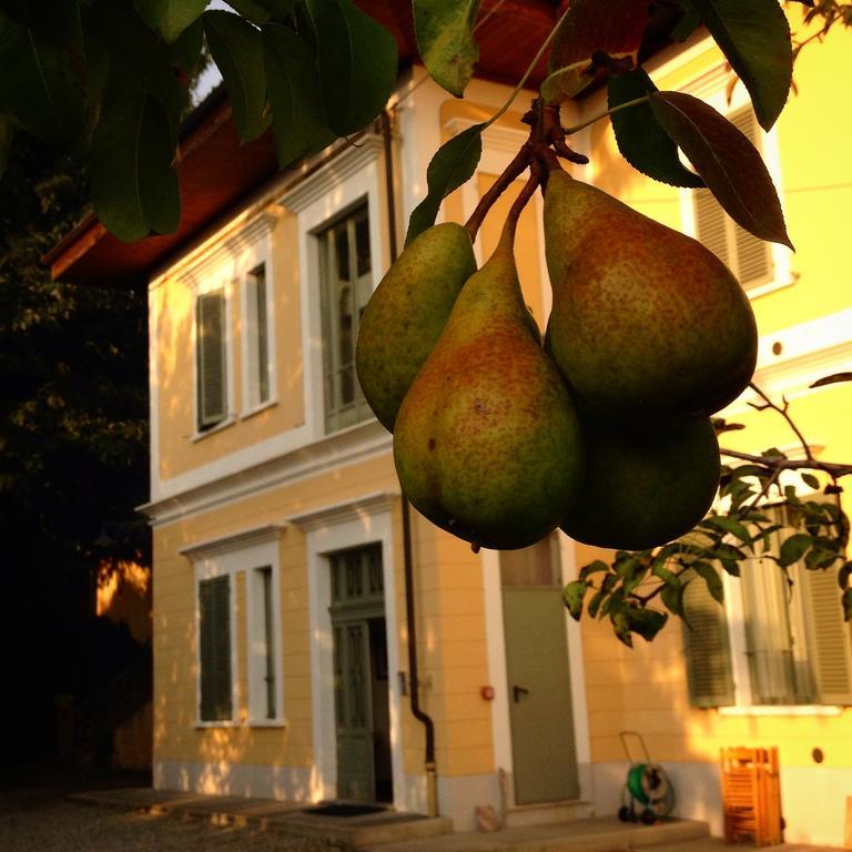 Villa D'Azeglio Albiano dʼIvrea Exterior foto